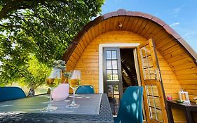 The Gold Pod, Relax And Enjoy On A Glamping House